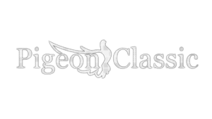 PIGEON CLASSIC FPS CHARITY EVENT: DOOM EVENTS + TEASERS